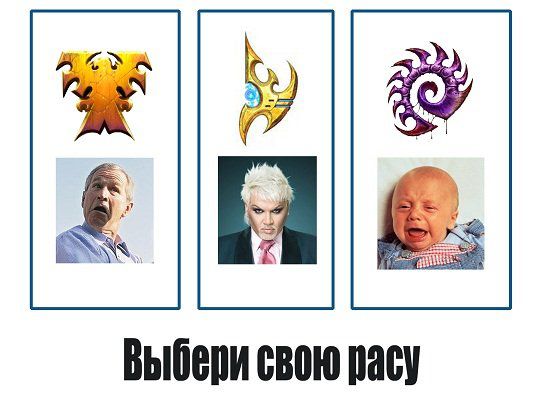 Starcraft: выбери свою расу Starcraft: выбери свою расу
