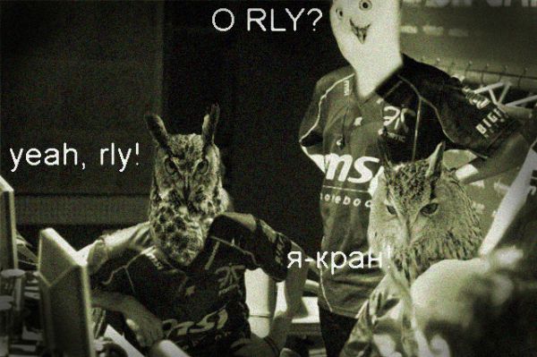 fnatic owls